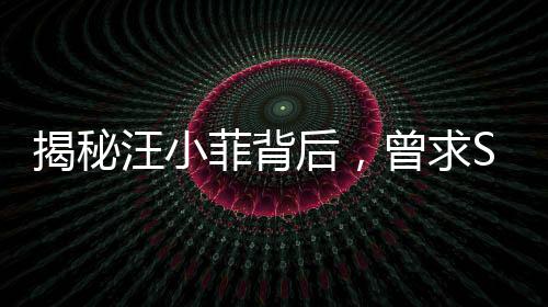 揭秘汪小菲背后，曾求S媽購買大型墓地，背后故事引人深思