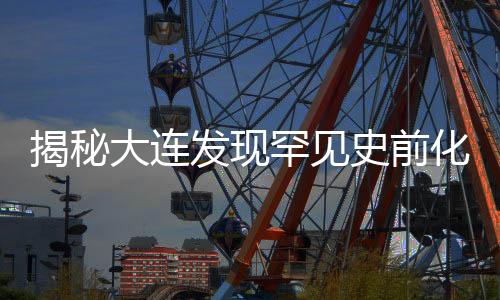 揭秘大連發(fā)現(xiàn)罕見史前化石，揭示四億年前神秘生物蹤跡