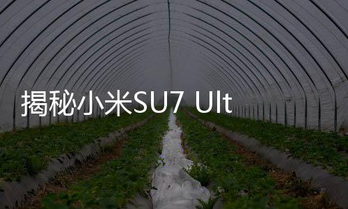 揭秘小米SU7 Ultra金車標(biāo)背后的故事——雷軍的獨(dú)到見(jiàn)解
