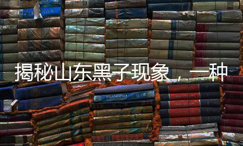 揭秘山東黑子現(xiàn)象，一種引人深思的社會現(xiàn)象觀察