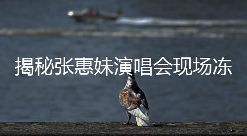 揭秘張惠妹演唱會現(xiàn)場凍出鼻涕的真相，神秘低溫下的奇跡之夜