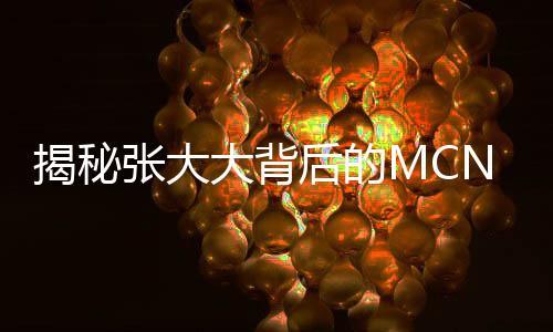 揭秘張大大背后的MCN公司，起底其成功背后的神秘力量