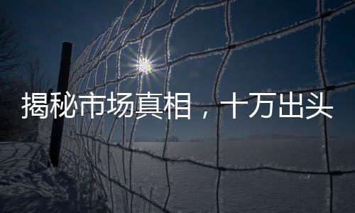 揭秘市場(chǎng)真相，十萬出頭能否購(gòu)入大廠智能駕駛系統(tǒng)？