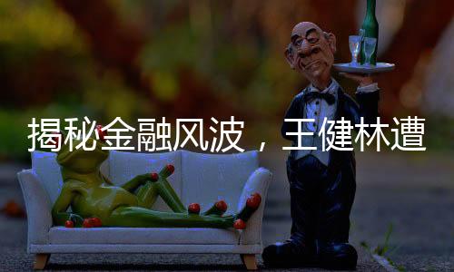 揭秘金融風(fēng)波，王健林遭遇七千萬股權(quán)凍結(jié)