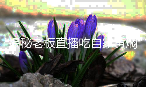 揭秘老板直播吃自家黃燜雞，一場關(guān)于誠信的較量