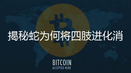揭秘蛇為何將四肢進(jìn)化消失？揭示神奇的物種進(jìn)化歷程
