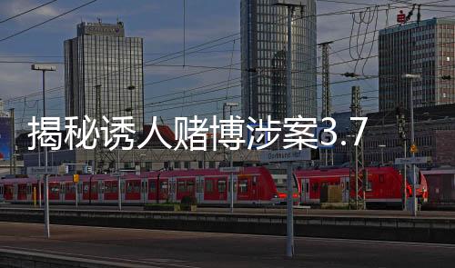 揭秘誘人賭博涉案3.7億驚天案