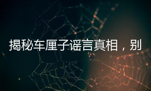 揭秘車?yán)遄又{言真相，別再輕信！