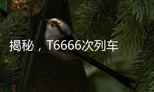 揭秘，T6666次列車真實存在，帶你領(lǐng)略獨特的列車之旅