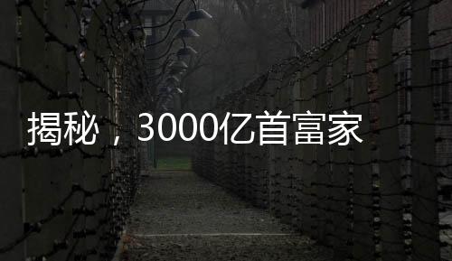 揭秘，3000億首富家族隱秘17年