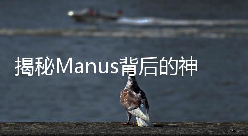 揭秘Manus背后的神秘團(tuán)隊(duì)