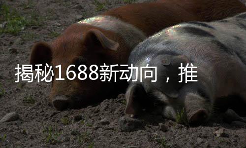 揭秘1688新動向，推出新業(yè)務(wù)源選，引領(lǐng)行業(yè)新風向