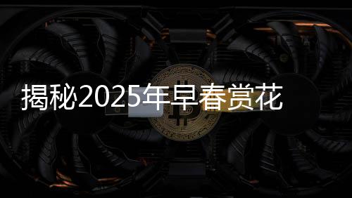 揭秘2025年早春賞花地圖，踏春賞花，盡享自然盛宴