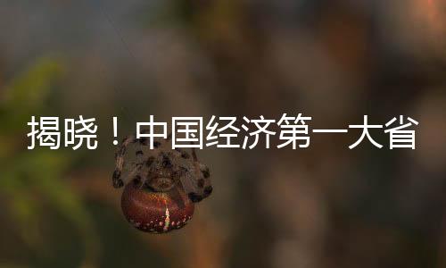 揭曉！中國經濟第一大省的懸念——對粵港澳大灣區(qū)的未來展望（新聞分析）