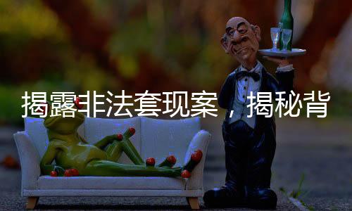 揭露非法套現(xiàn)案，揭秘背后的隱患與挑戰(zhàn)，00后青年涉嫌非法套現(xiàn)近十萬(wàn)引發(fā)的思考