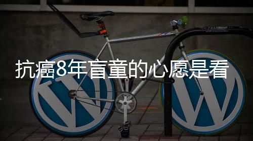 抗癌8年盲童的心愿是看哪吒2——一場(chǎng)生命與夢(mèng)想的愛與奇跡之旅
