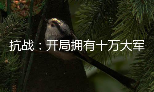 抗戰(zhàn)：開局擁有十萬大軍
