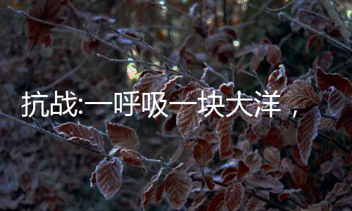 抗戰(zhàn):一呼吸一塊大洋，川軍雄起