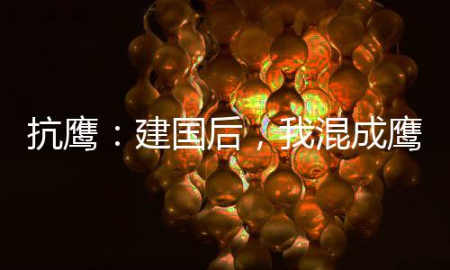 抗鷹：建國后，我混成鷹派大元帥