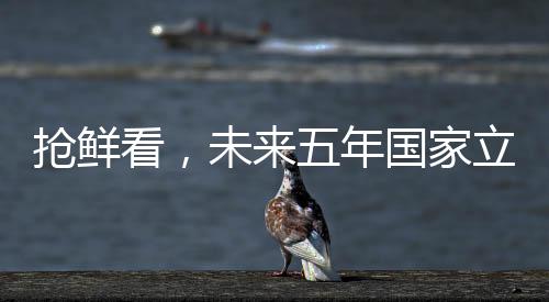 搶鮮看，未來五年國家立法趨勢展望——一二三四五六七八九十解讀