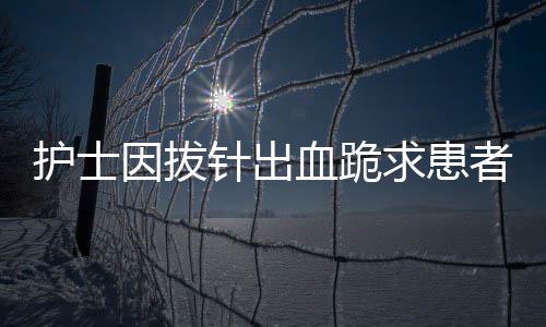 護士因拔針出血跪求患者原諒，深化理解與人文關(guān)懷的典范