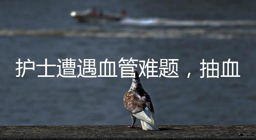 護士遭遇血管難題，抽血過程中的連續(xù)挑戰(zhàn)與護理藝術(shù)