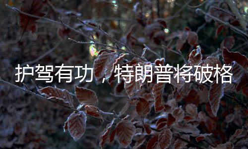 護(hù)駕有功，特朗普將破格提拔他