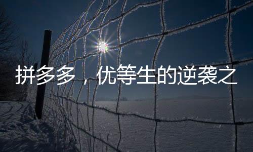 拼多多，優(yōu)等生的逆襲之路——沒(méi)考好的優(yōu)等生仍舊被偏愛(ài)