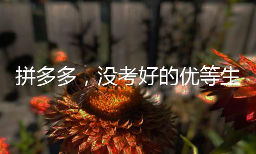 拼多多，沒考好的優(yōu)等生仍舊被偏愛