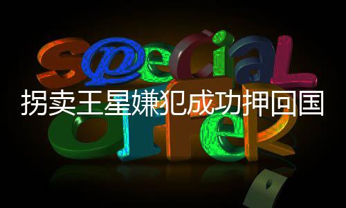 拐賣王星嫌犯成功押回國，國際社會齊聲稱贊