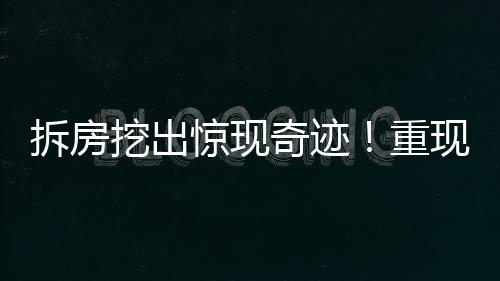 拆房挖出驚現(xiàn)奇跡！重現(xiàn)罕見(jiàn)40斤重娃娃魚(yú)寶寶重磅報(bào)道