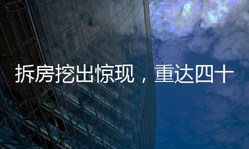 拆房挖出驚現(xiàn)，重達四十斤娃娃魚傳奇故事