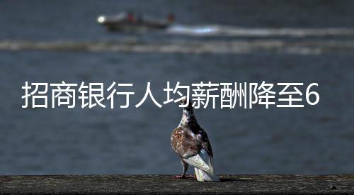 招商銀行人均薪酬降至60萬元以內，重塑行業(yè)薪酬結構探析
