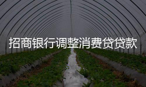 招商銀行調(diào)整消費(fèi)貸貸款期限，新的政策與未來展望
