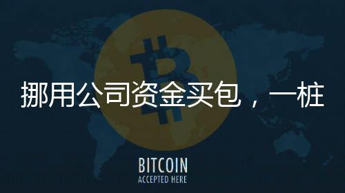挪用公司資金買包，一樁觸目驚心的商業(yè)犯罪事件