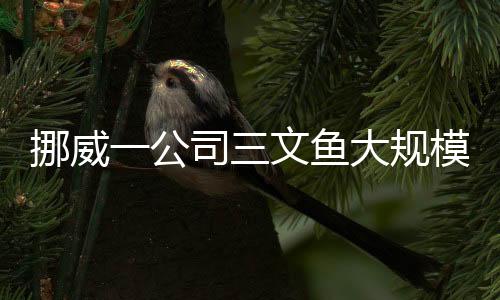 挪威一公司三文魚大規(guī)模出逃，引發(fā)業(yè)界關(guān)注