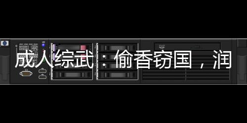 成人綜武：偷香竊國(guó)，潤(rùn)爆女俠們