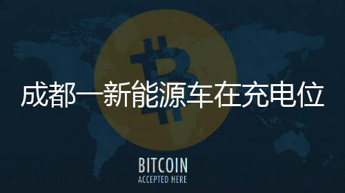 成都一新能源車在充電位上起火事件揭秘，事故起因、應(yīng)對與反思