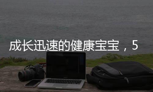 成長(zhǎng)迅速的健康寶寶，5個(gè)半月的煤氣罐寶寶已達(dá)到23斤的健康里程碑