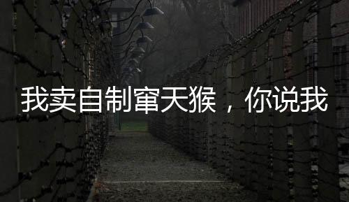 我賣自制竄天猴，你說我賣軍火？