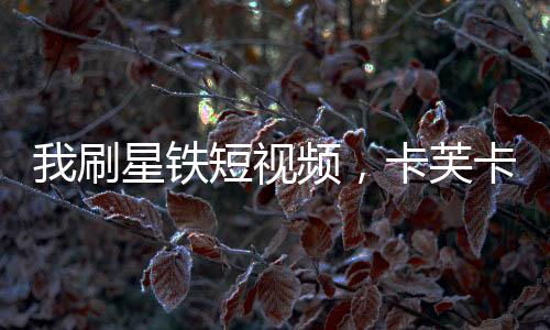 我刷星鐵短視頻，卡芙卡喜當(dāng)媽
