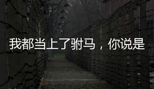 我都當(dāng)上了駙馬，你說是西游？