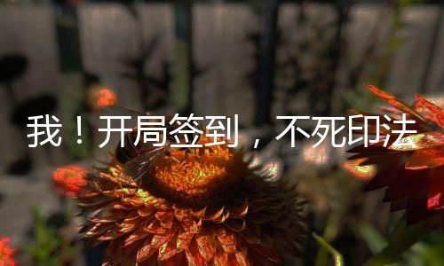 我！開局簽到，不死印法滿級