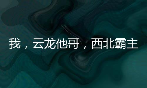 我，云龍他哥，西北霸主！
