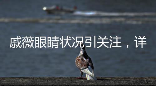 戚薇眼睛狀況引關(guān)注，詳細(xì)解析及最新消息