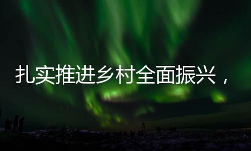 扎實(shí)推進(jìn)鄉(xiāng)村全面振興，助力鄉(xiāng)村振興新篇章