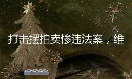 打擊擺拍賣慘違法案，維護市場公平交易秩序的行動