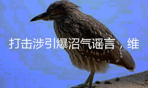 打擊涉引爆沼氣謠言，維護(hù)社會(huì)和諧穩(wěn)定