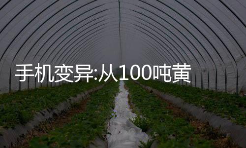 手機(jī)變異:從100噸黃金開始