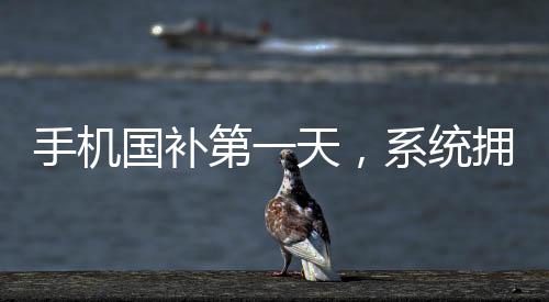 手機(jī)國補(bǔ)第一天，系統(tǒng)擁堵至癱瘓，用戶反饋強(qiáng)烈引發(fā)關(guān)注